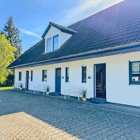 Weststrandlaeufer Wieck auf dem Darss