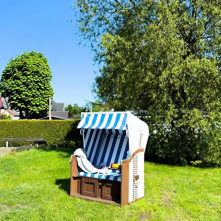 Weststrandlaeufer Wieck auf dem Darss